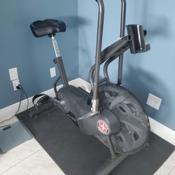 Schwinn Airdyne 6 Exercise Bike