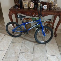 Bicicleta   Mediana  Azul 