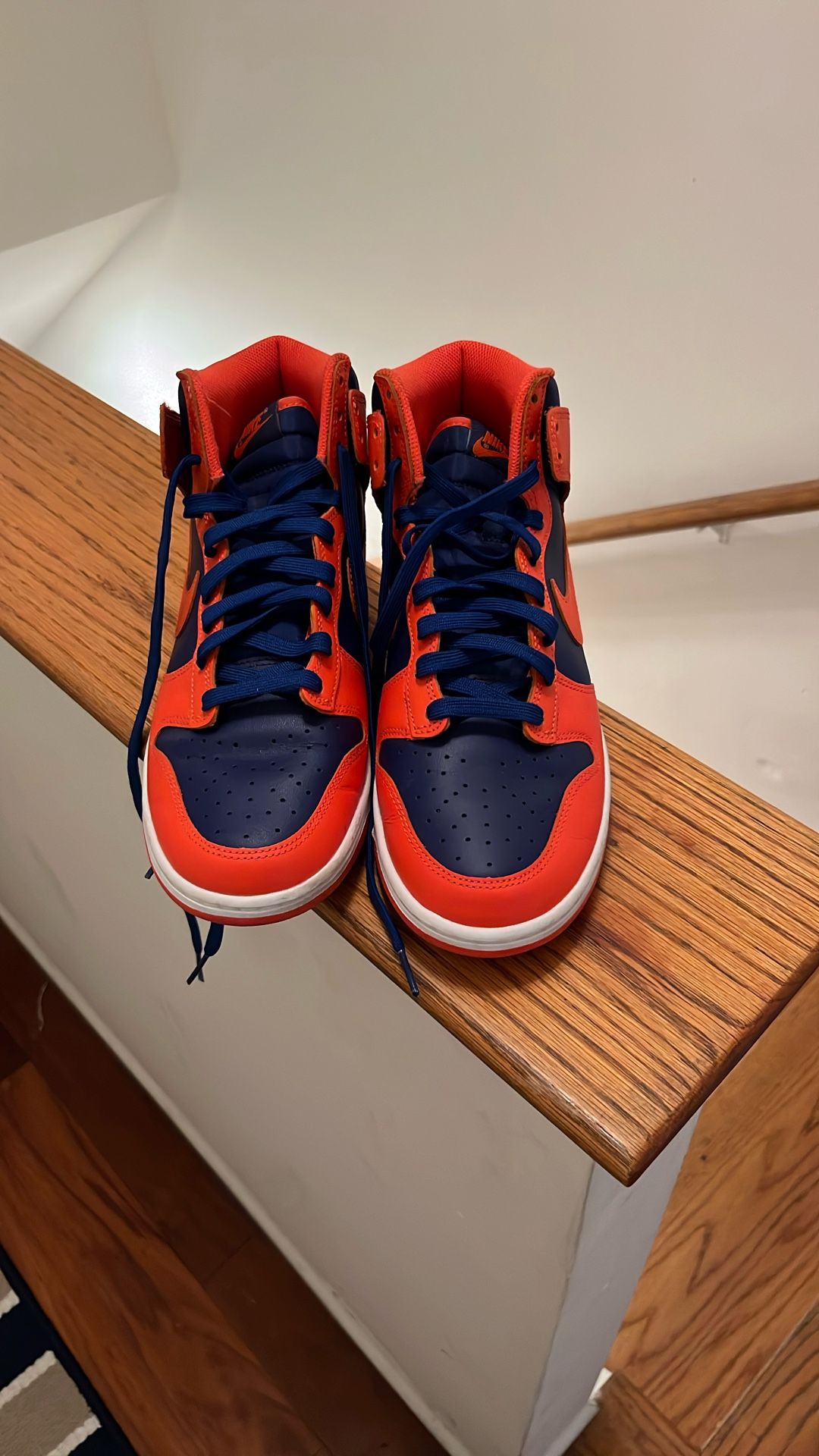 Nike Dunk Hi 