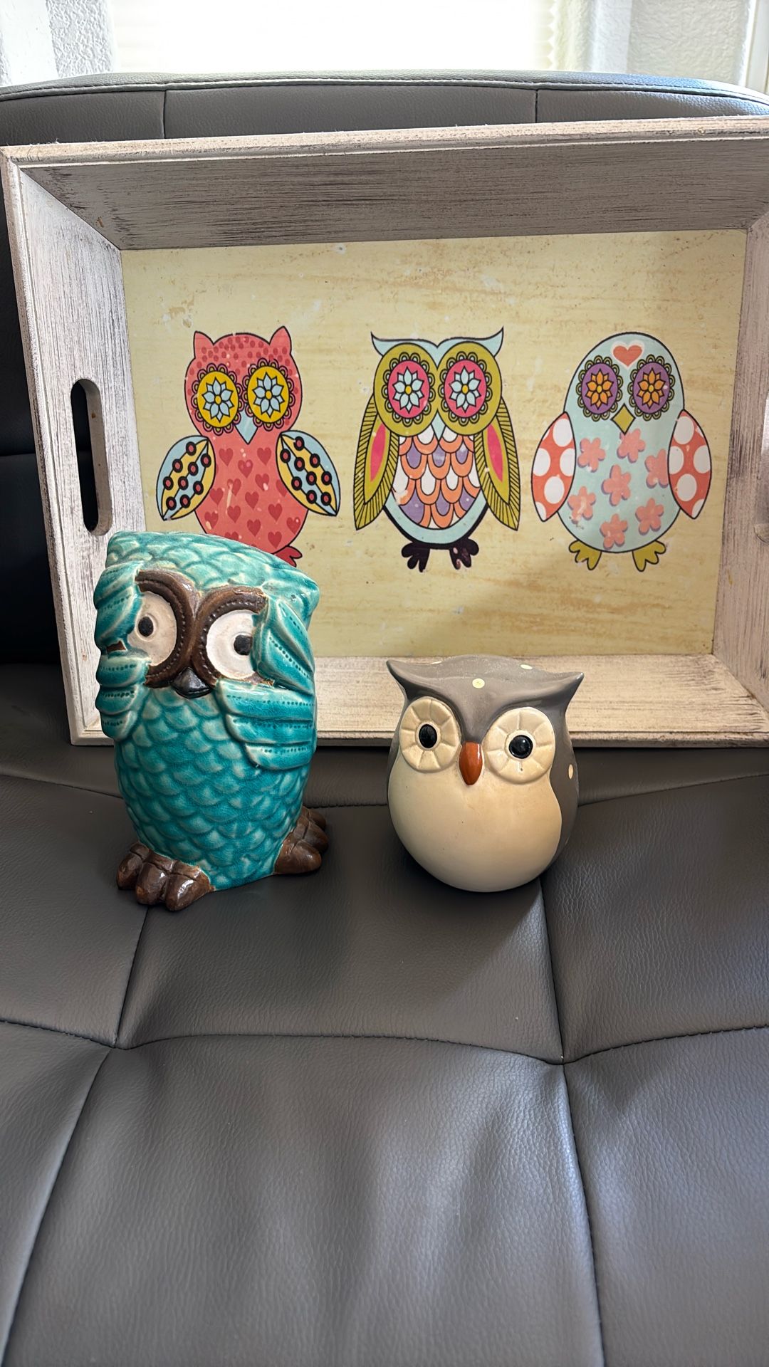 Owl Collection