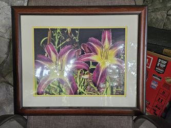 Cherry Wood Frame 23 X 19" With Beaufiful Picture Of Lilly's