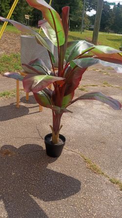 New artificial silk red banana plant High quality looks real