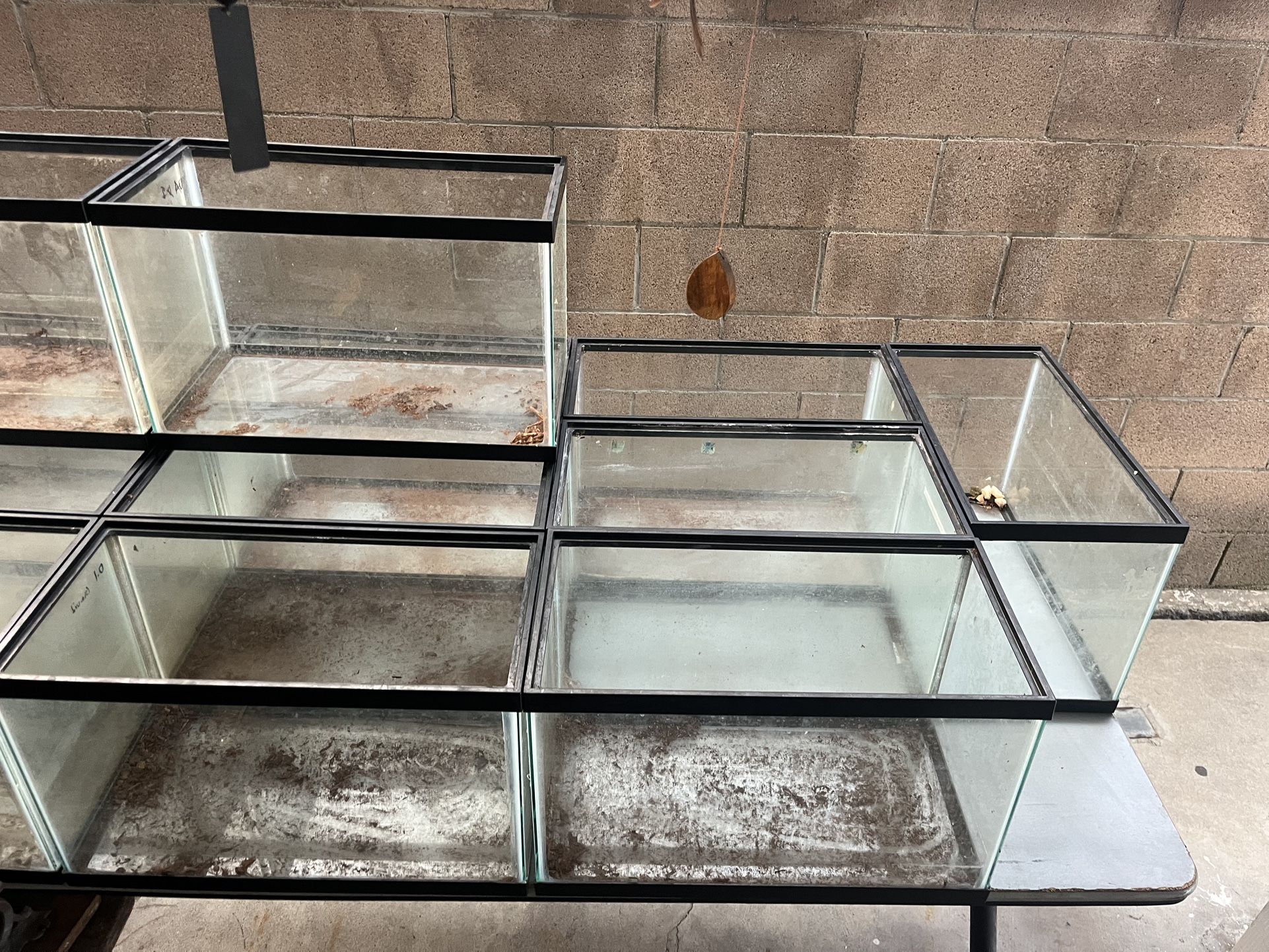 Reptile Tanks 