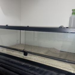 Reptile Terrarium