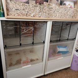 Hamster Home Omlet Furniture