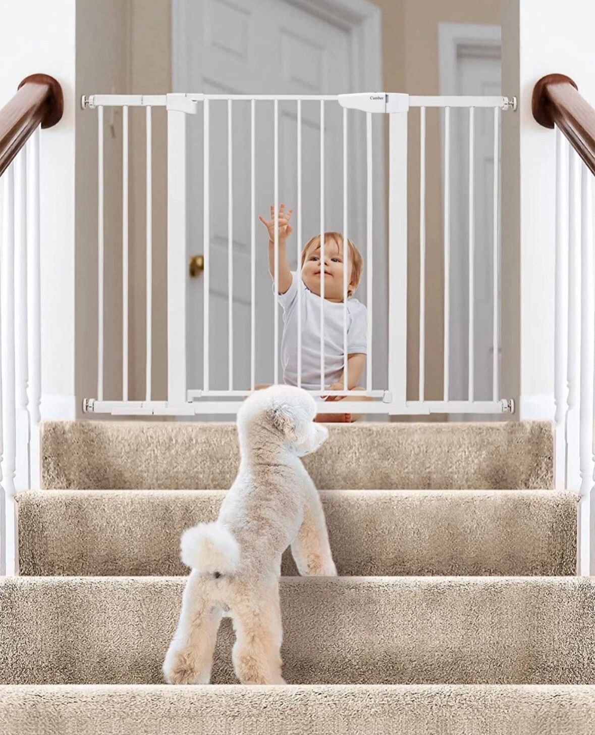 Cumbor 29.7-51.6" Baby Gate Extra Wide, Safety Dog Gate for Stairs, Easy Walk...