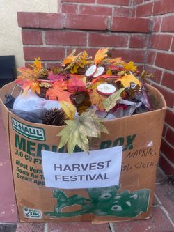 Harvest/Halloween decorations