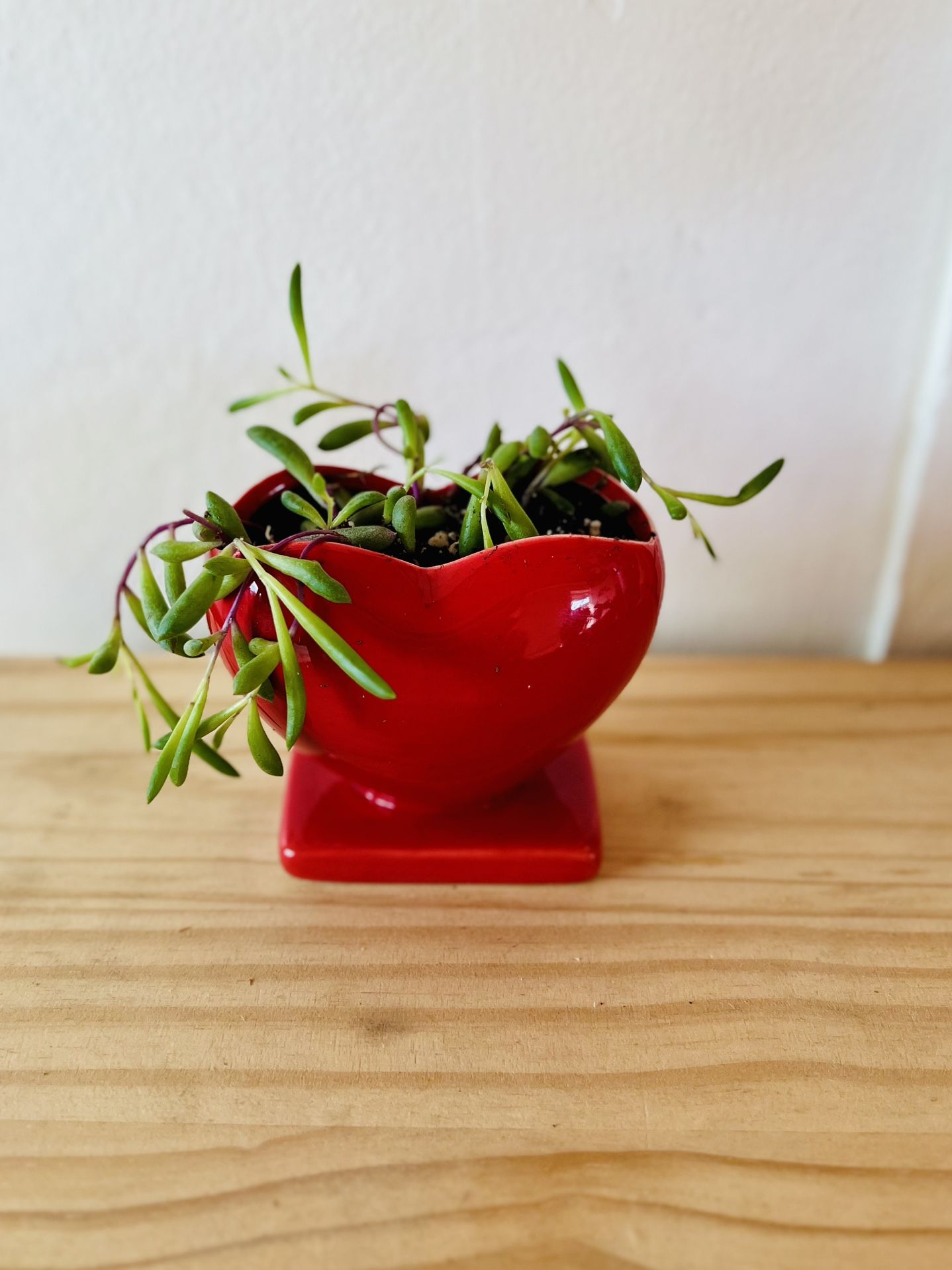 Brand New Heart Vase With Trailing String Of Bananas