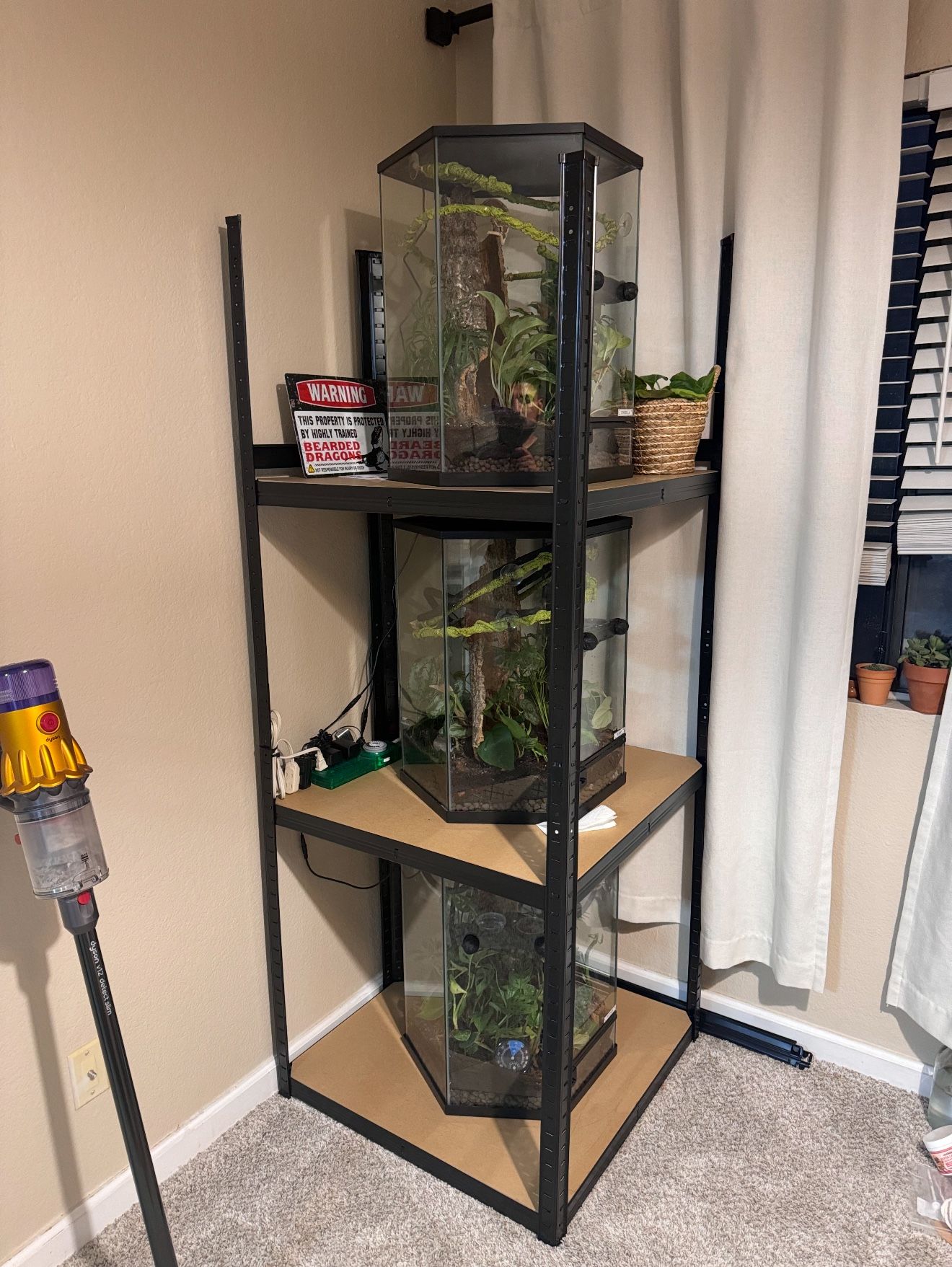Enclosure For gecko