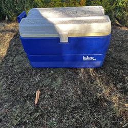 Cooler 