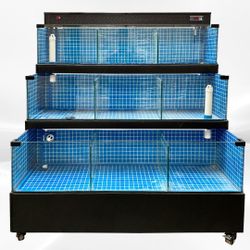 60 inches Sea Water Seafood Lobster Display Case 220v HL60
