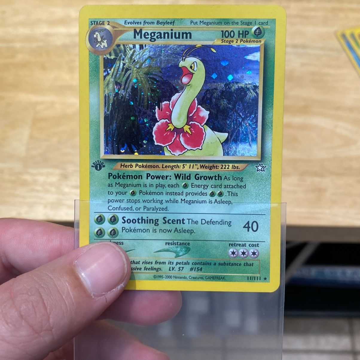 Pokemon 1st Edition Meganium | Holo - Neo Genesis 11/111