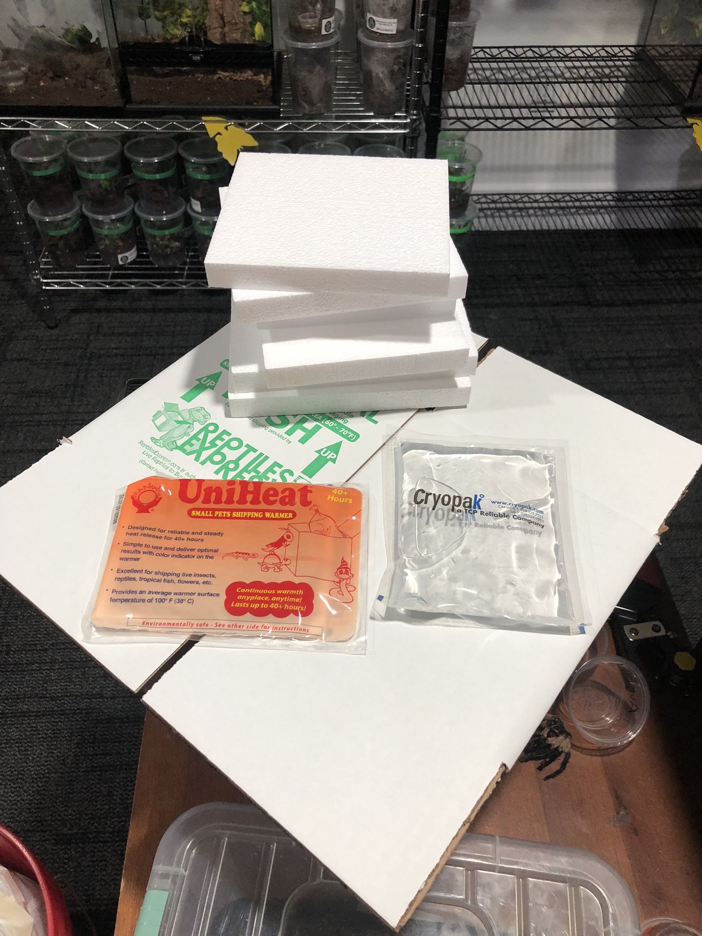 Pet Shipping Supplies