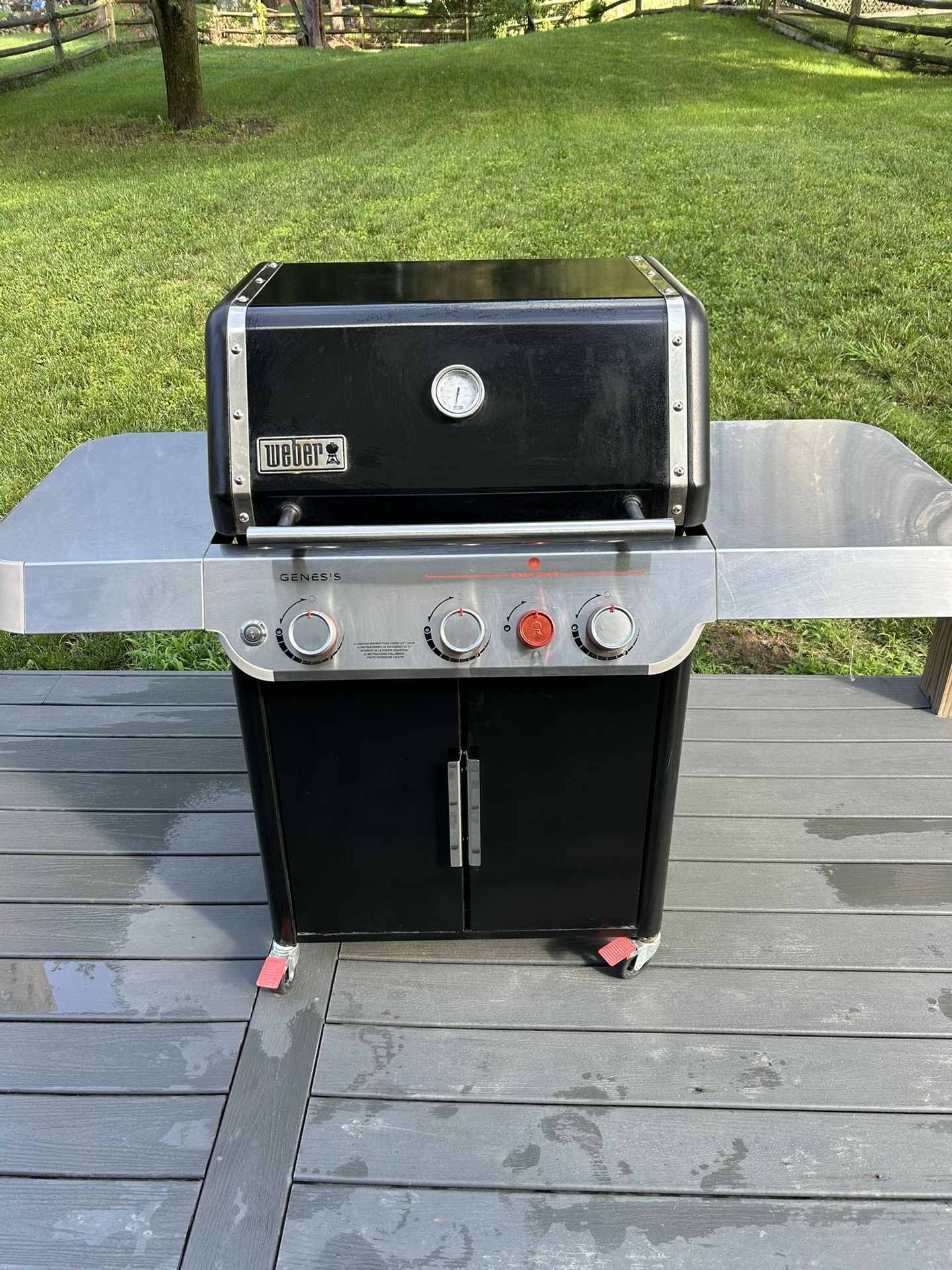 Webber Natural Gas Grill