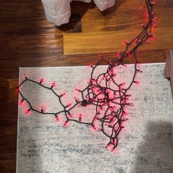 Pink/purple String Lights