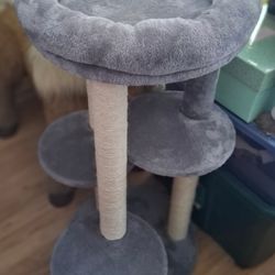 Cat Tree/Scratcher