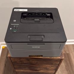Brother HL-L2350DW Monochrome Printer