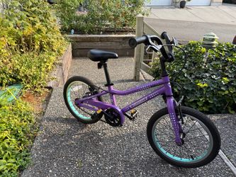 Guardian 16 inch Bike & Training Wheels