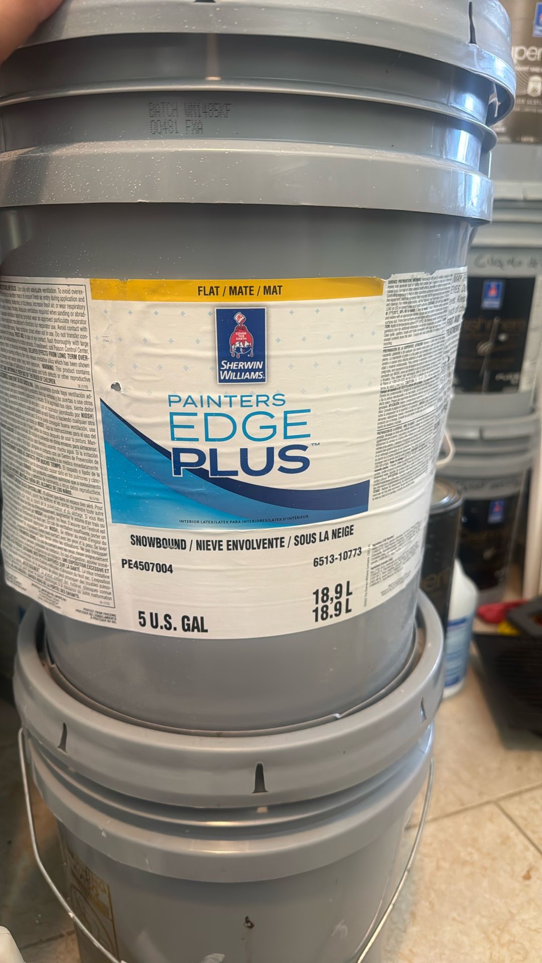 Painter Edge Plus 