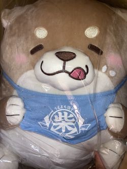 Mochi Shiba Inu (light blue bib)