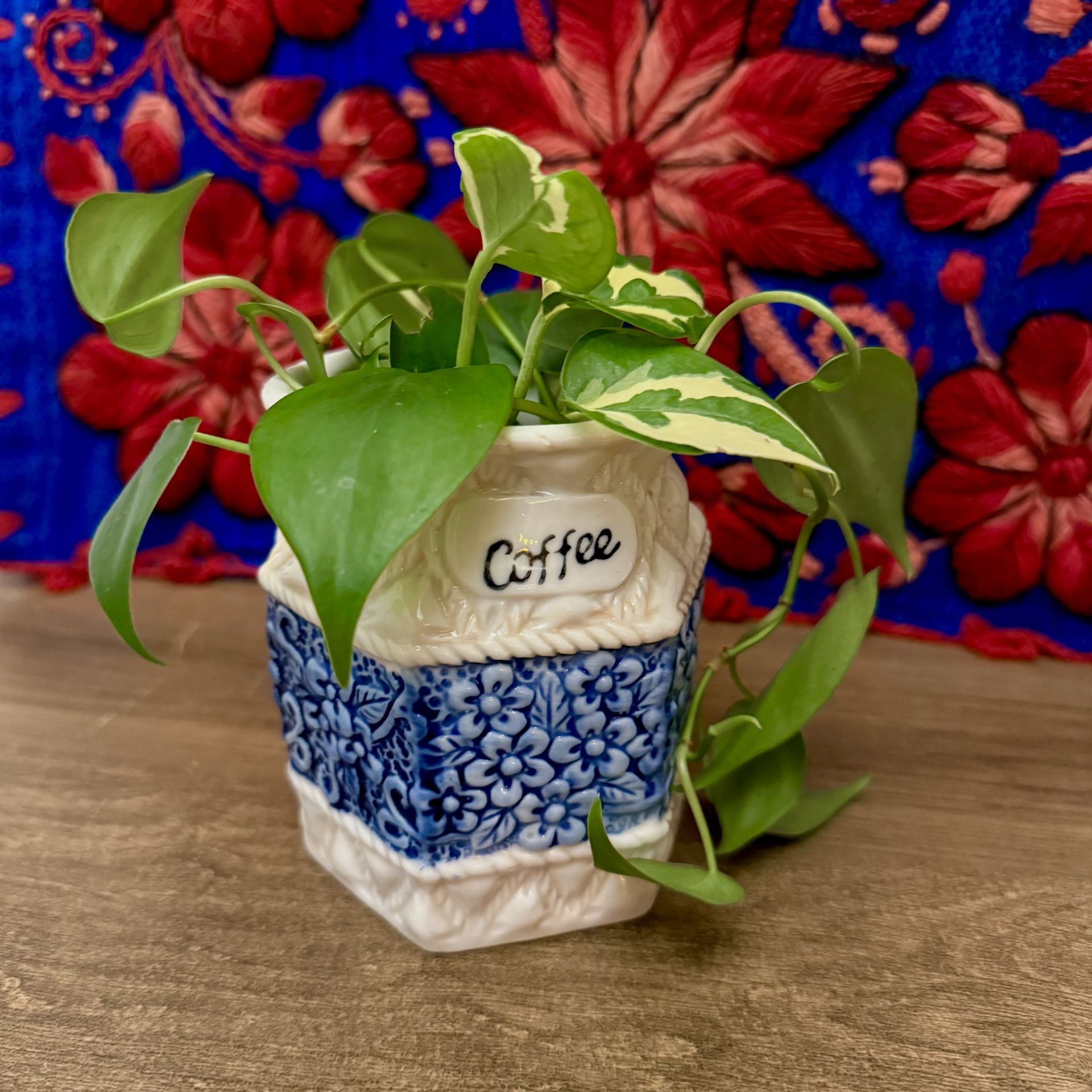 Vintage Ceramic Coffee Canister with Blue Floral Design – Great for Planter for Kitchen or Shelf Decor