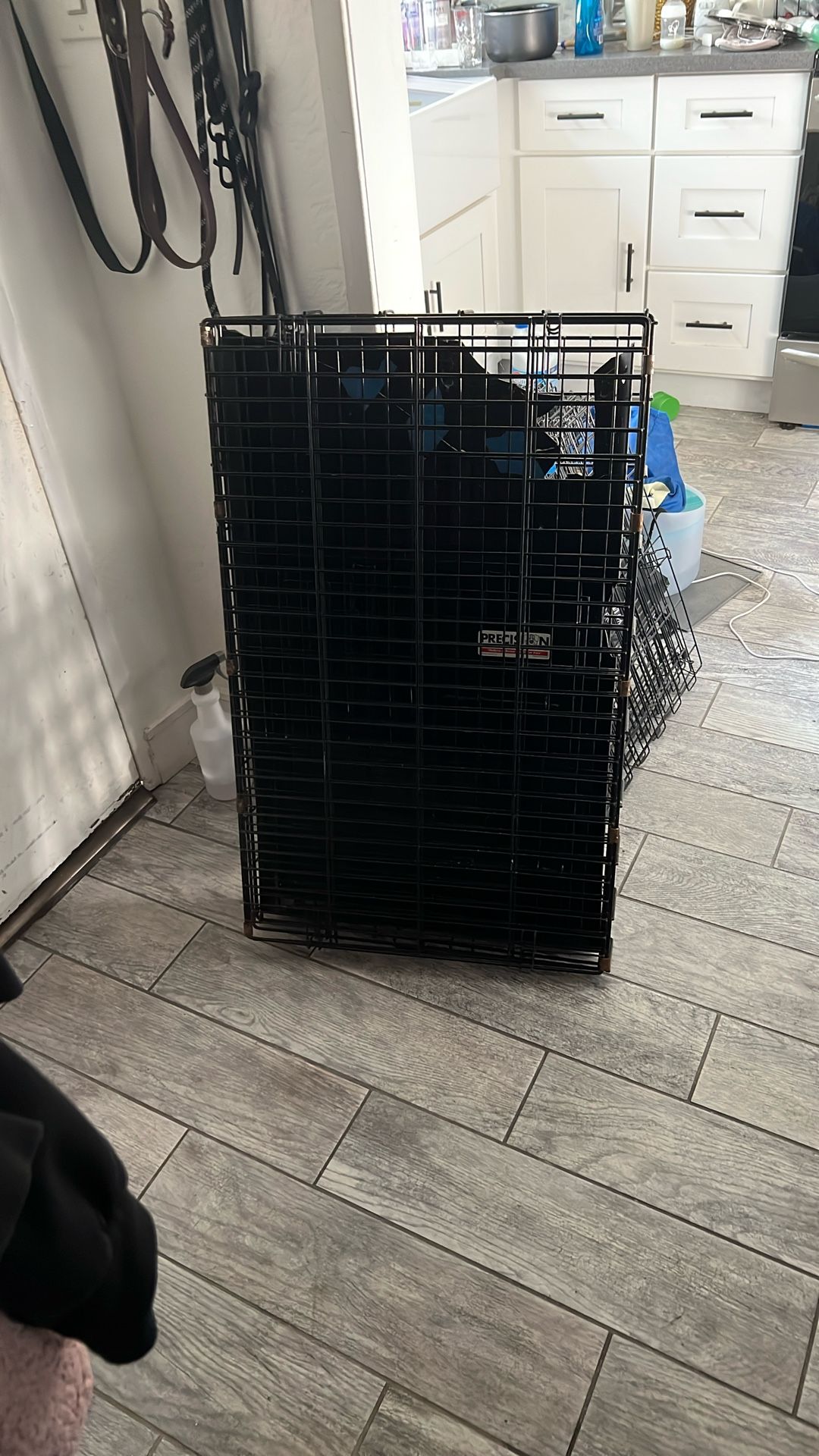 Large Dog Crate