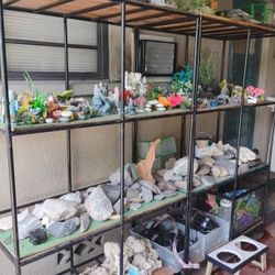 Fish Tank Decoración 