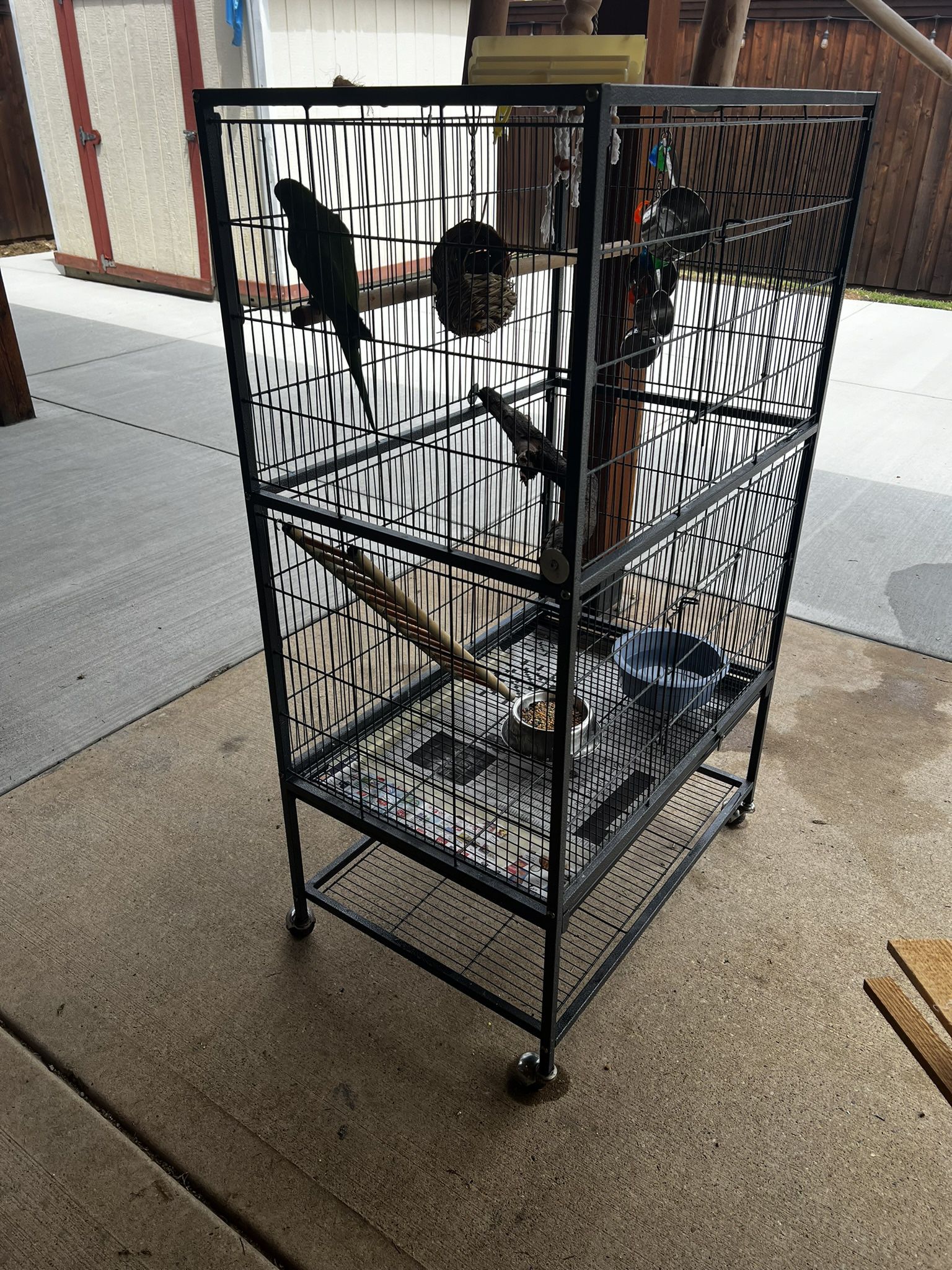 Large Cage with Wheels And Quaker Parrot
