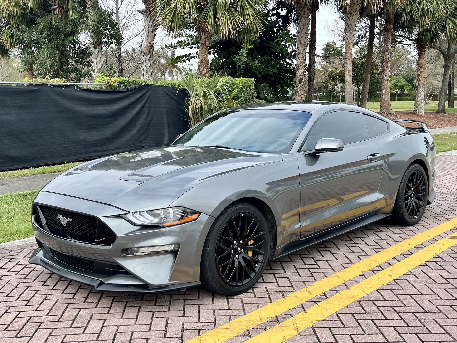 2019 Ford Mustang