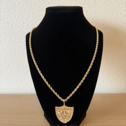 14k Diamond Cut Raiders Pendant