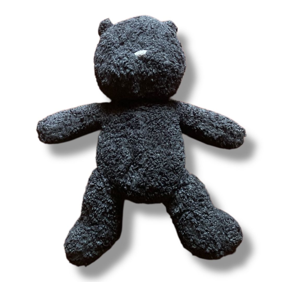 Black teddy Bear