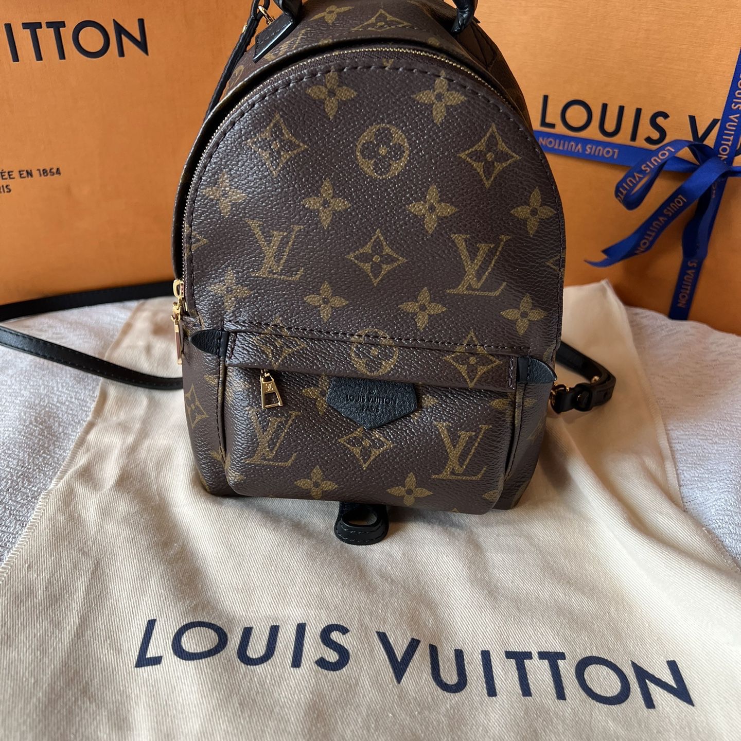 LV Palm Springs PM Back Pack Organizer – Swag My Bag Accessories