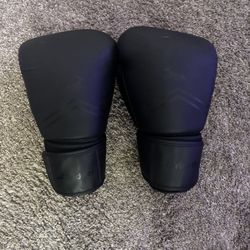 Kickboxing Gloves