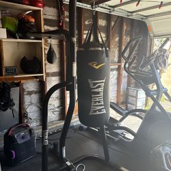 Everlast Punching Bag