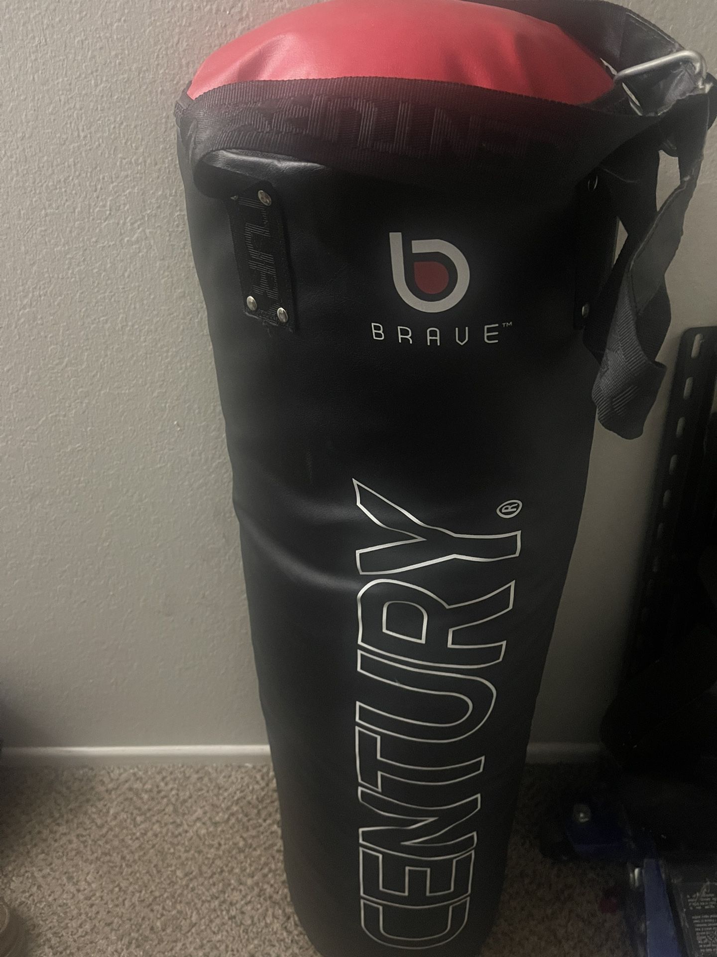 Punching Bag