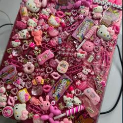 Junk Case 