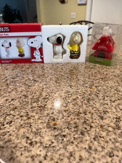 Snoopy decor