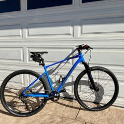 Giant Roam Disc 2 Mountain Bike
