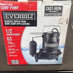 Everbilt Professional Sump Pump