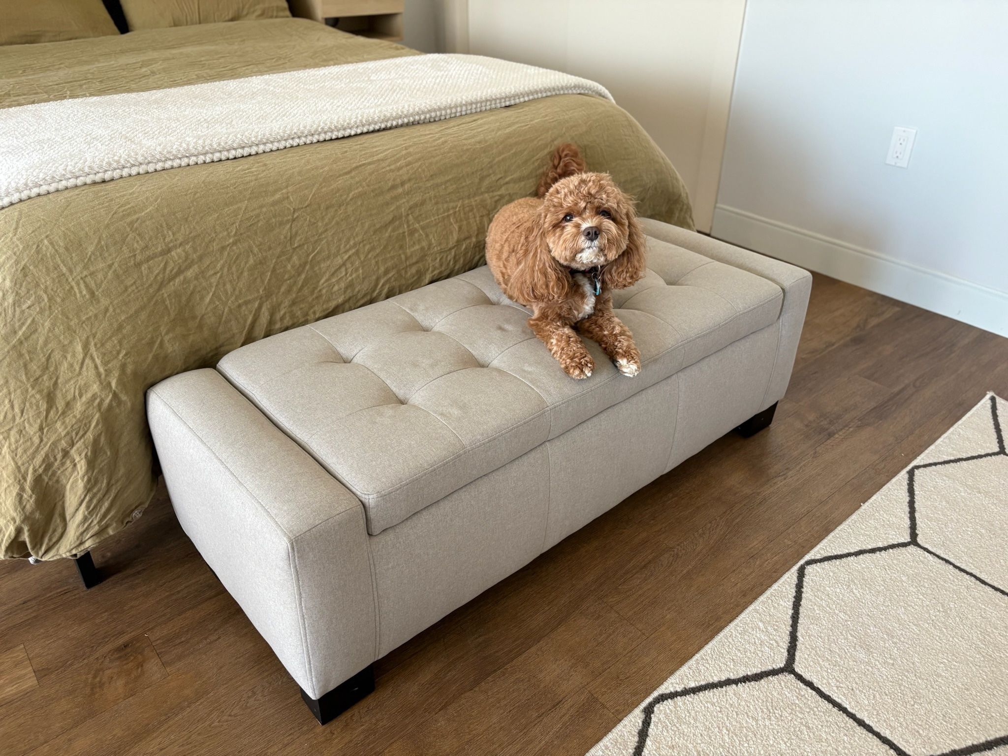 Ashley Ottoman with storage