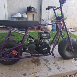Frp Mini Bike Purple