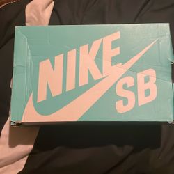 Nike SB Blzr Court