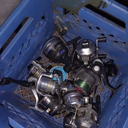 Fishing Reels 