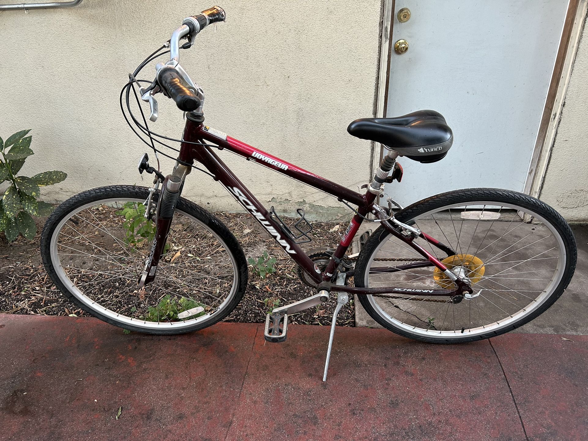 Adult Bike