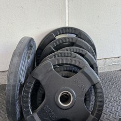 Gym Quality Weights 