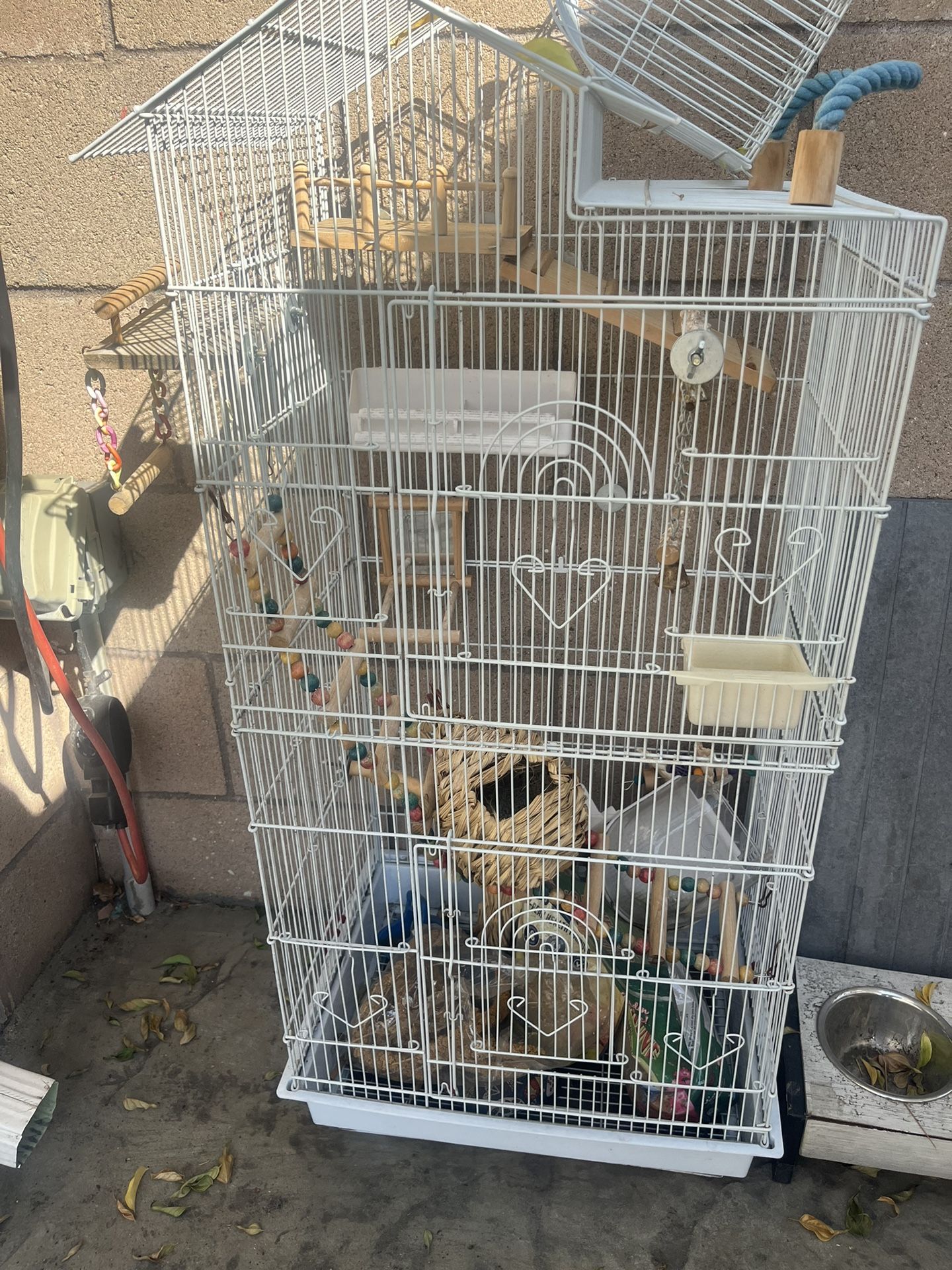 Bird Cage + Extras