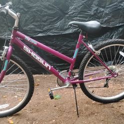 Kent Shogun Trail Blaster Bike