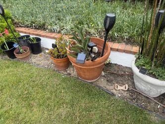 Large 15 G Clay Pots Beautiful 