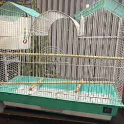 Bird Cage 