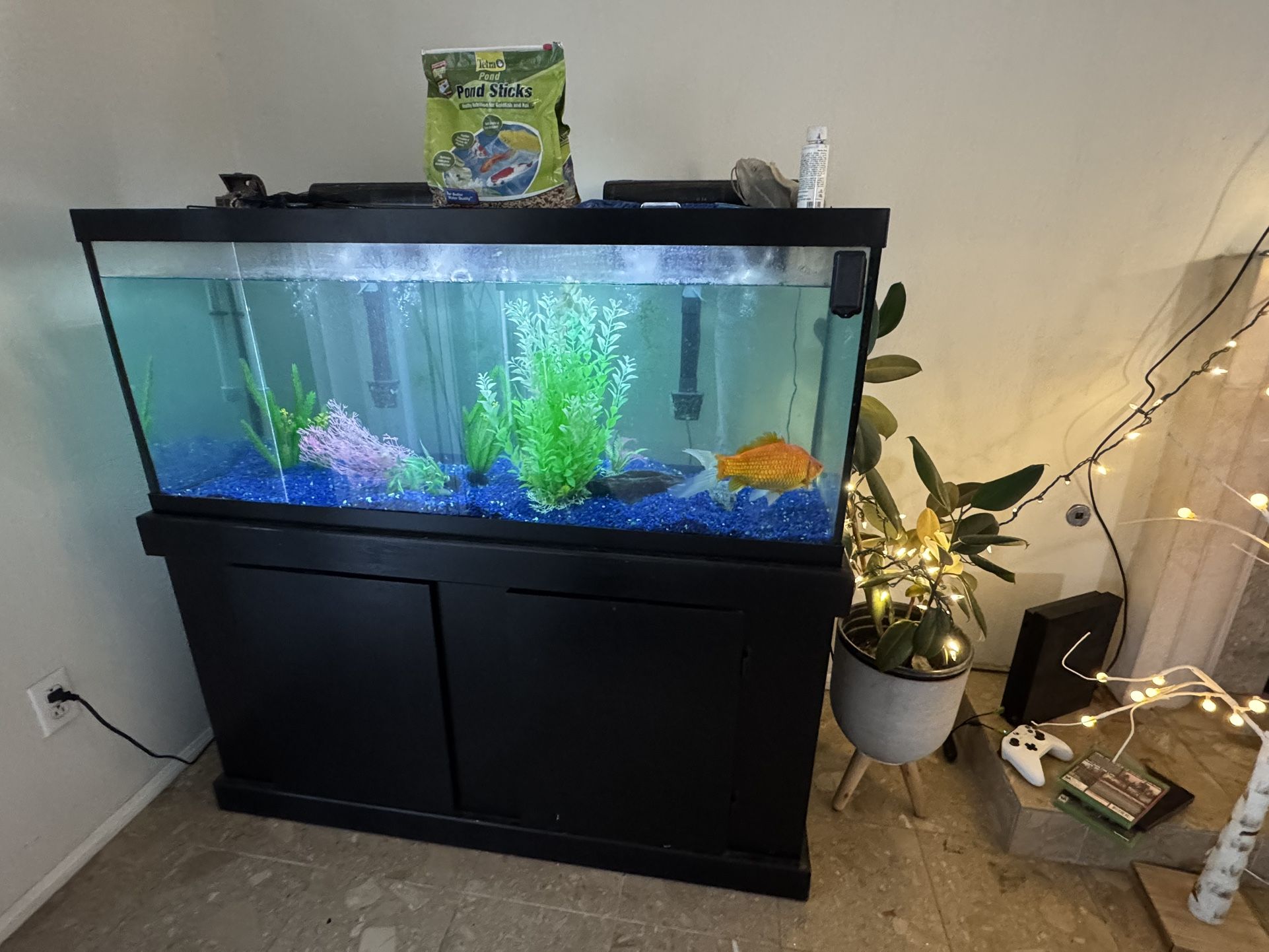 Large aquarium Fish Tank